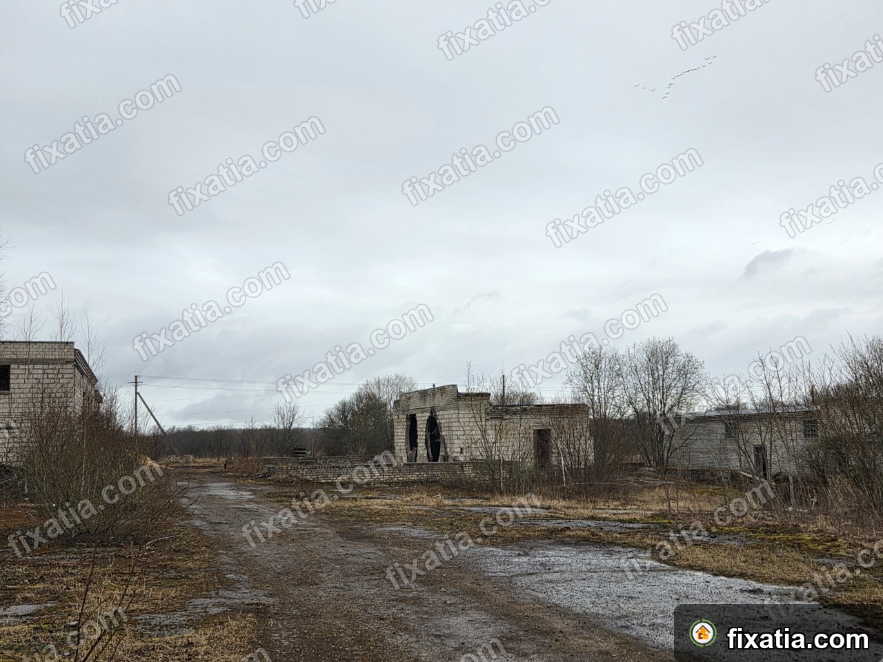 Commercial in Unukse, Lääne-Viru County, Estonia - Image 2