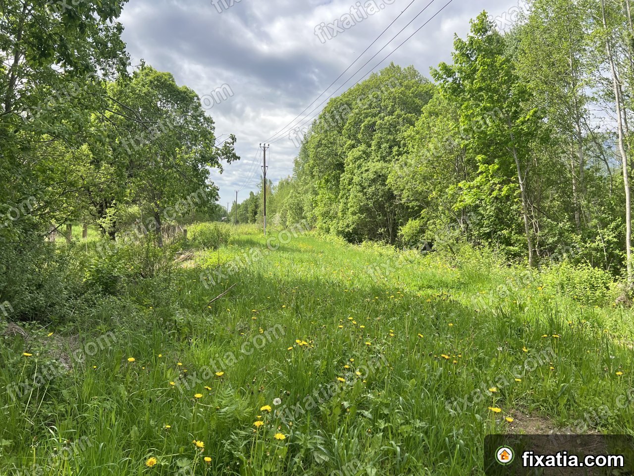 Land in Kohila, Rapla County, Estonia - Image 2
