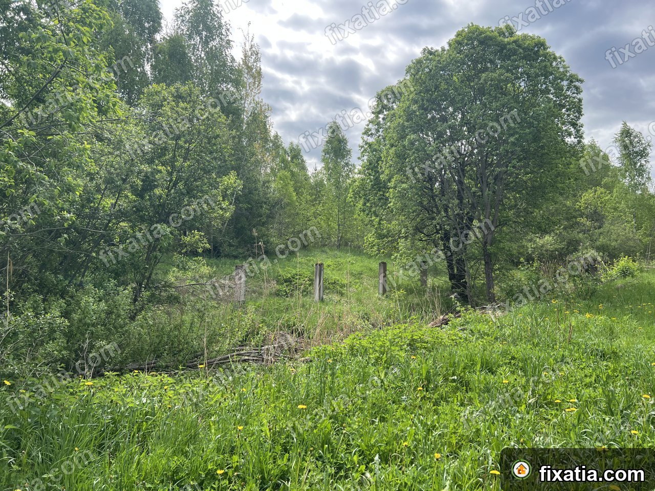 Land in Kohila, Rapla County, Estonia - Image 3