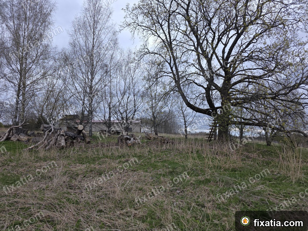 Land in Tõutsi, Valga County, Estonia - Image 2