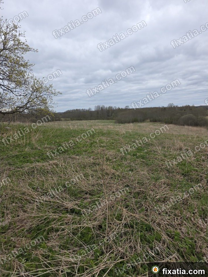 Land in Tõutsi, Valga County, Estonia - Image 3