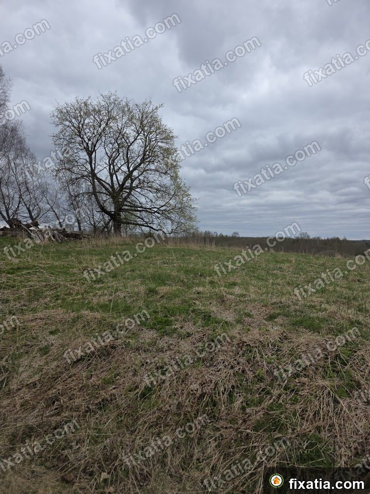 Land in Tõutsi, Valga County, Estonia - Image 4