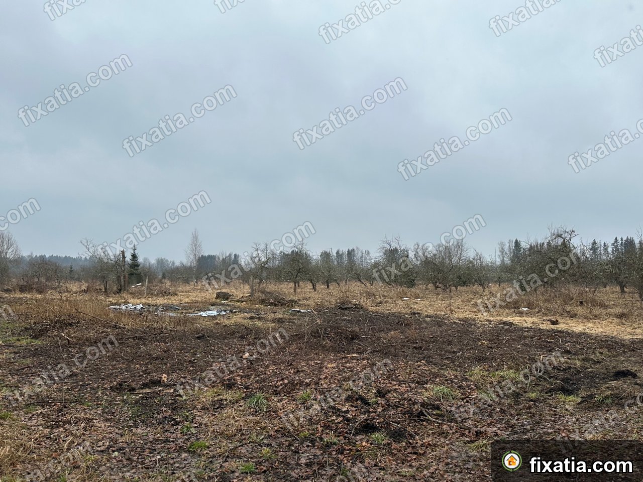 Commercial in Oeti, Järva County, Estonia - Image 2