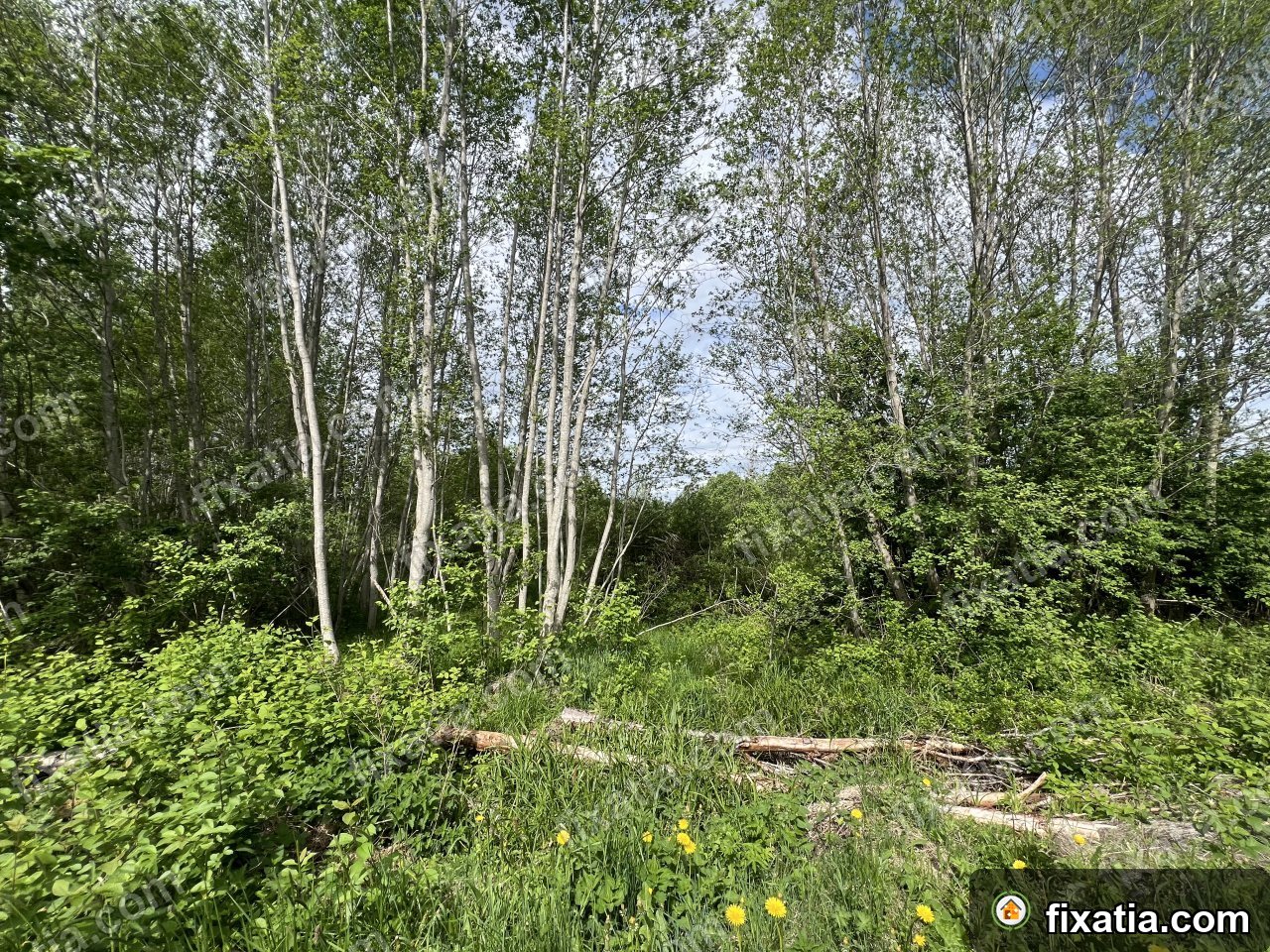 Land in Kohila, Rapla County, Estonia - Image 4