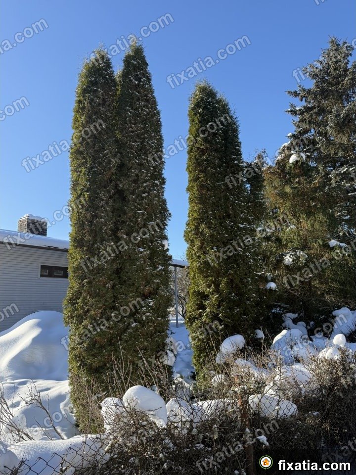 House in Hummuli, Valga County, Estonia - Image 4