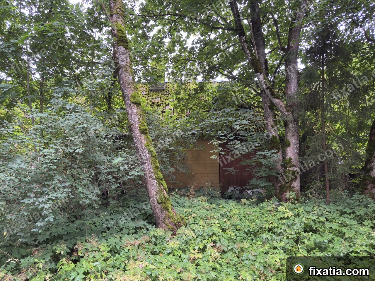 House in Aravete, Järva County, Estonia - Image 2