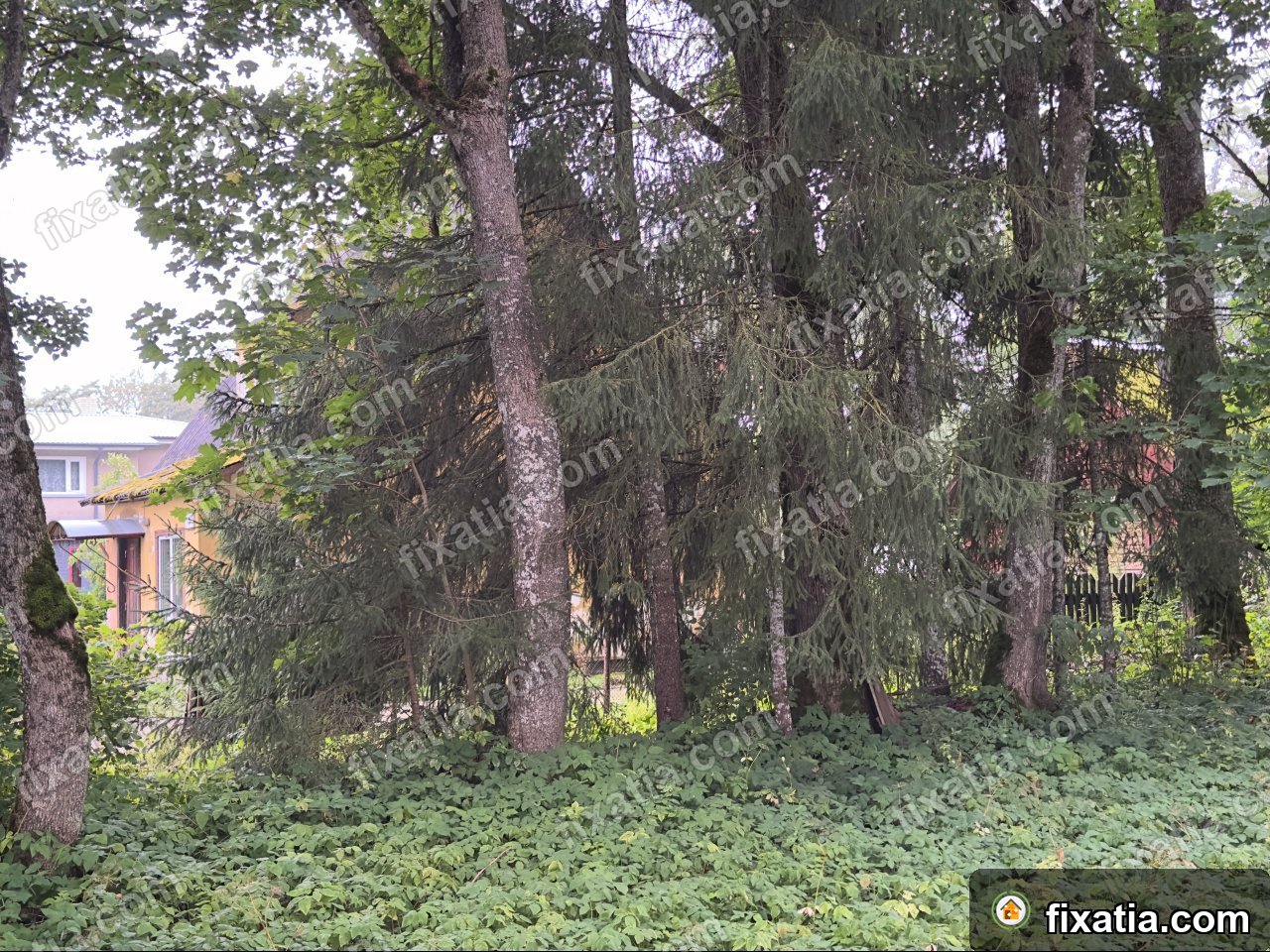 House in Aravete, Järva County, Estonia - Image 4