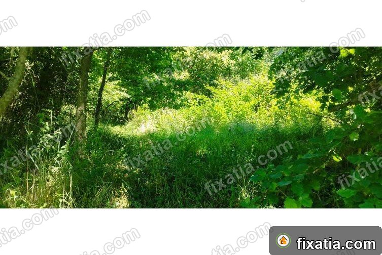 Land in Zgornja Ložnica, Drava, Slovenia - Image 2