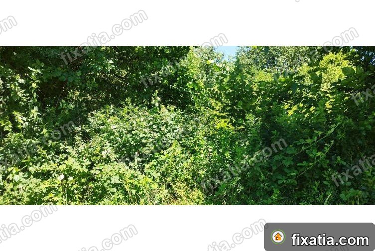 Land in Zgornja Ložnica, Drava, Slovenia - Image 3