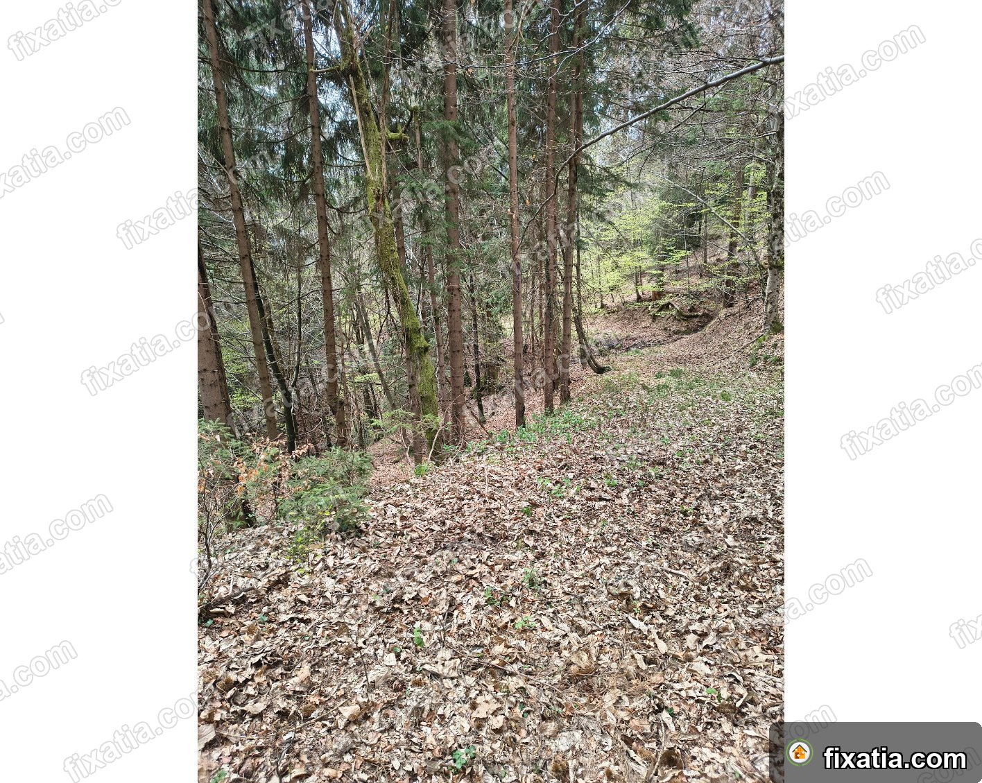 Land in Selca, Upper Carniola, Slovenia - Image 2
