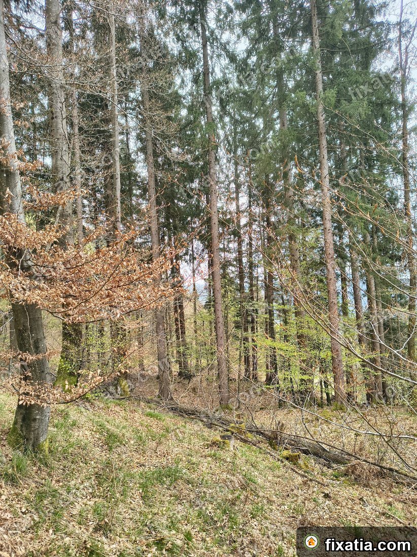 Land in Selca, Upper Carniola, Slovenia - Image 3