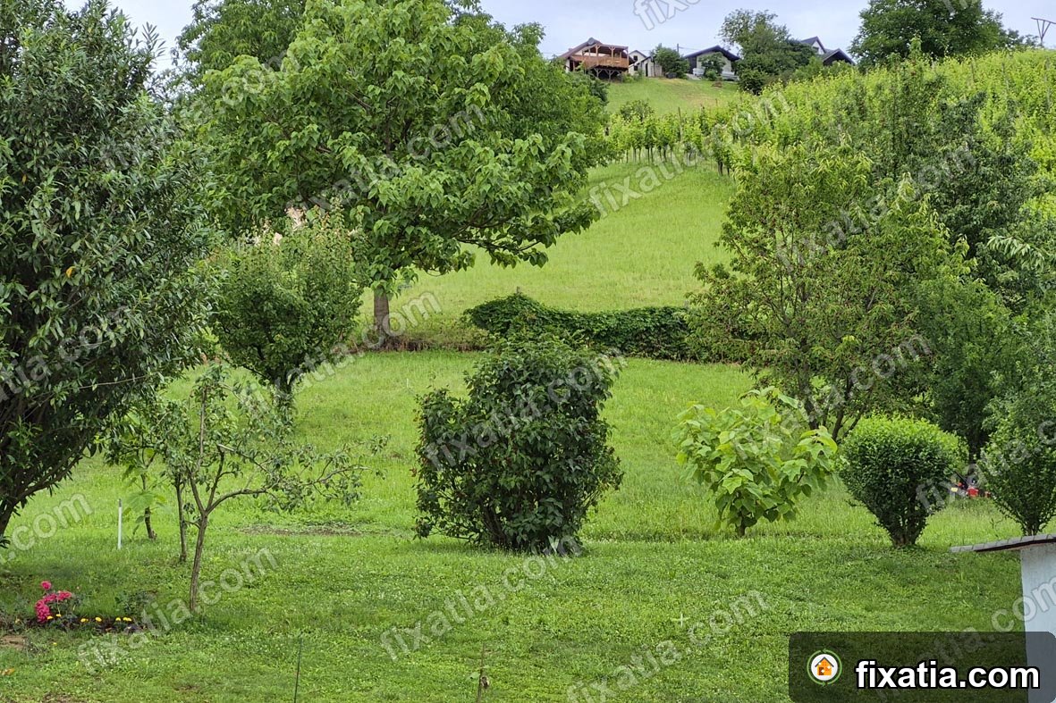 House in Lendava/Lendva, Mura, Slovenia - Image 2