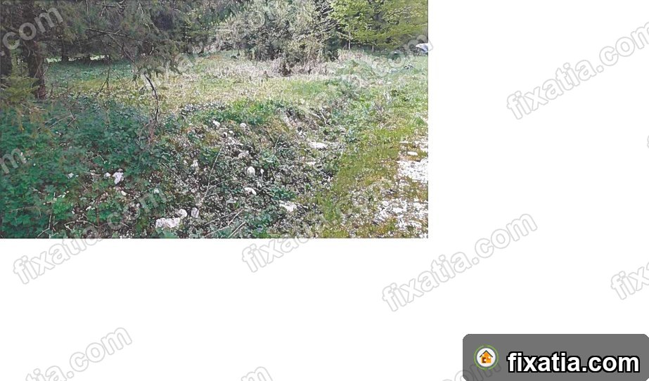 Land in Bohinjsko jezero, Upper Carniola, Slovenia - Image 3