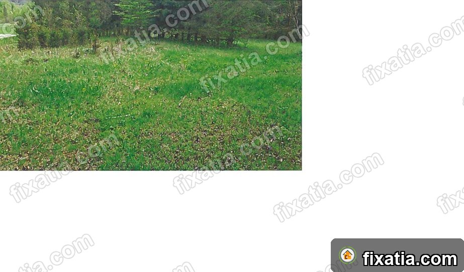 Land in Bohinjsko jezero, Upper Carniola, Slovenia - Image 4