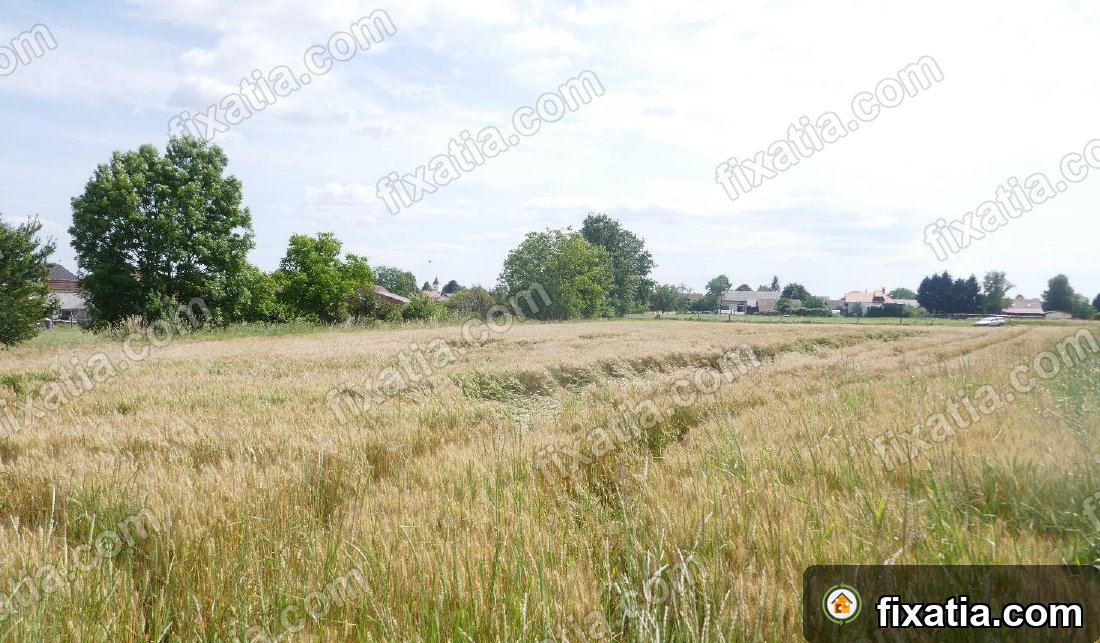 Land in Veržej, Mura, Slovenia - Image 4