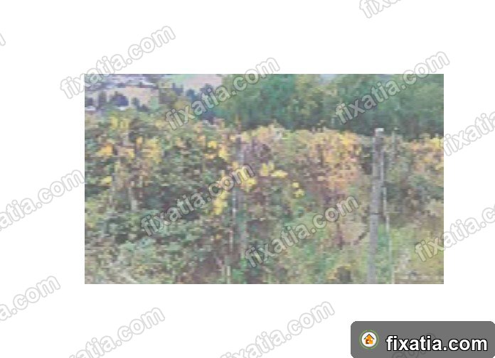 Land in Slovenska Bistrica, Drava, Slovenia - Image 4