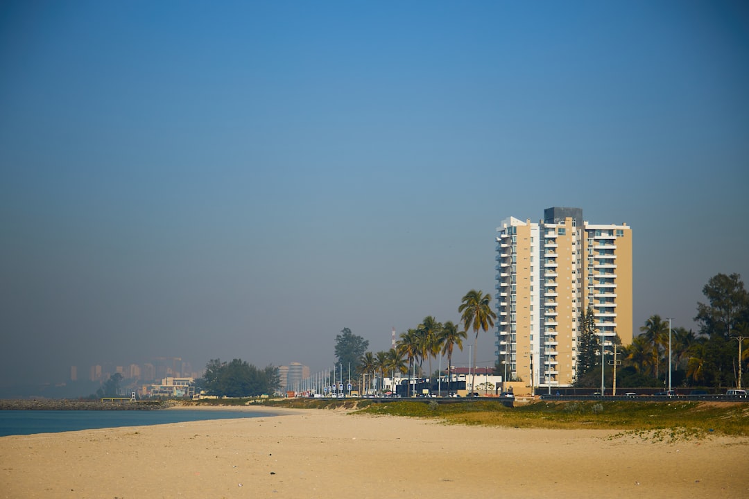 Beach with high-rise buildings and palm trees, ideal for real estate investments.